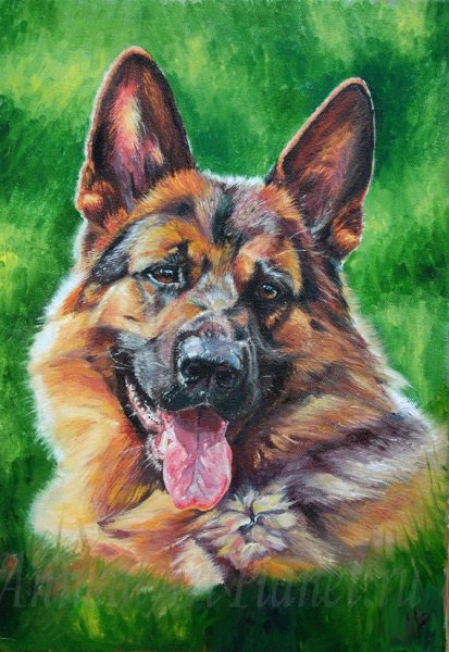 Восточноевропейская овчарка живопись