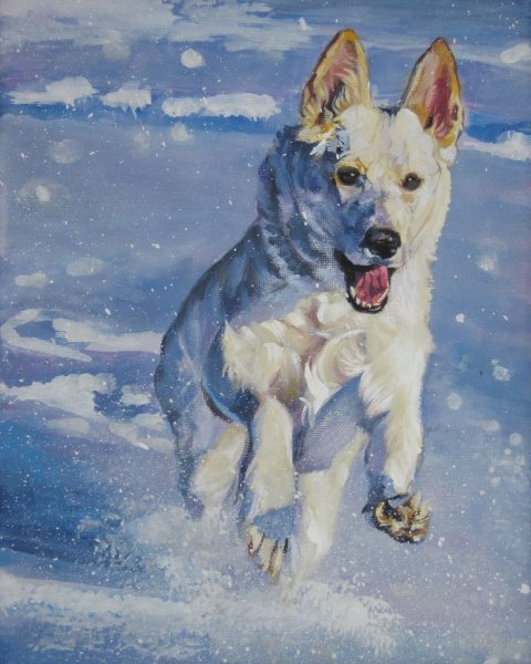 Собака акварелью