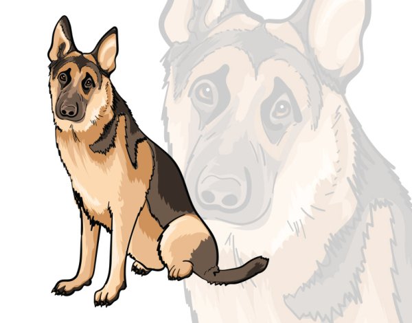 Алмазная мозаика собаки овчарки