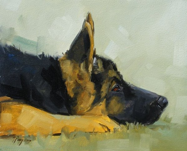 Овчарка акварелью