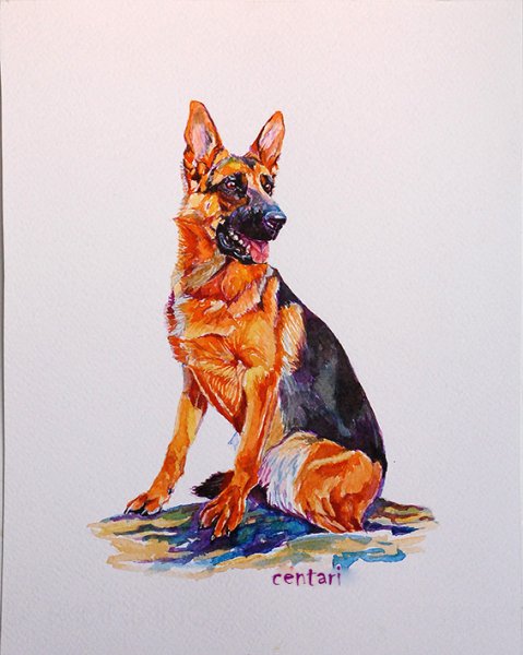 Немецкая овчарка Canva