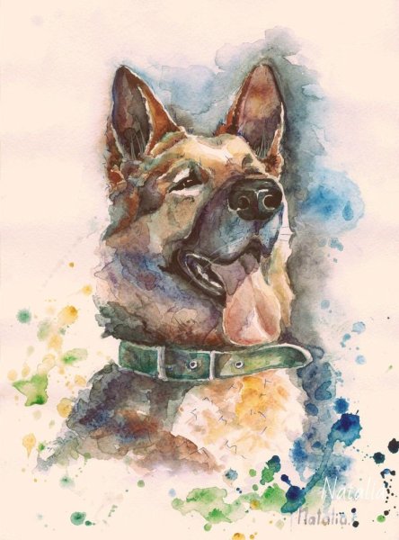 Крутой скетч овчарка акварельными карандашами