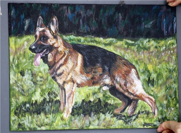 Овчарка живопись