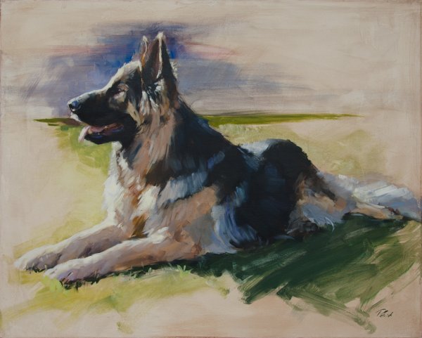 Восточно-европейская овчарка акварелью