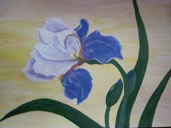 Нарисовать цветы гуашью