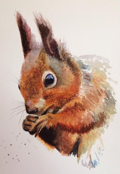 Детские иллюстрации Белочка