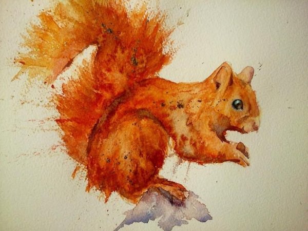 Живые рисунки