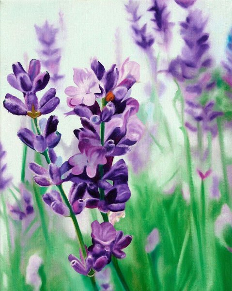 Лаванда акрил живопись картина