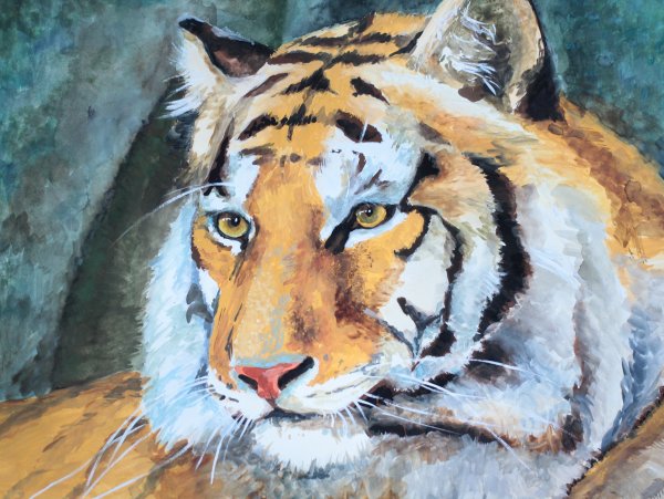 Тигр гуашью