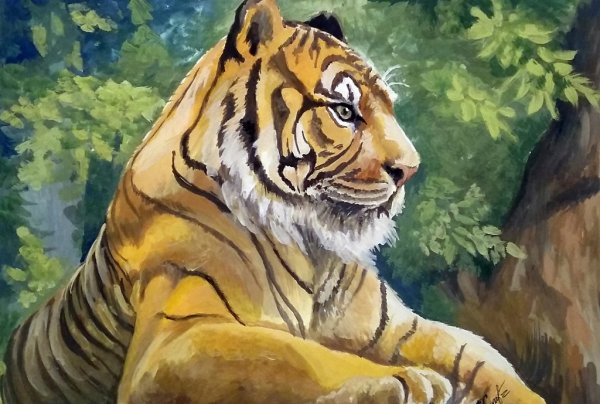 Картины тигра маслом и мастихином