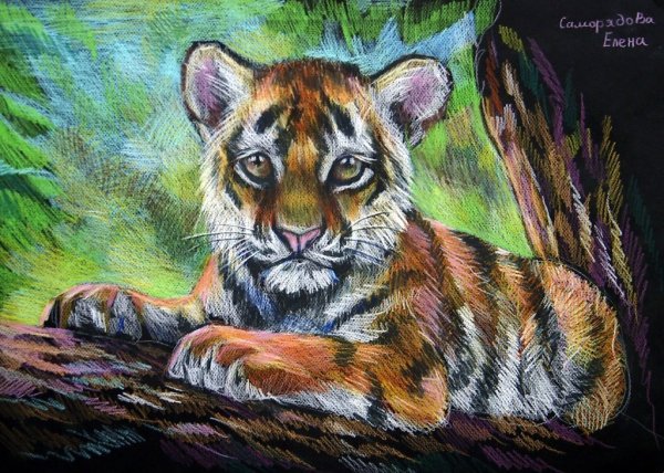 Тигренок гуашью