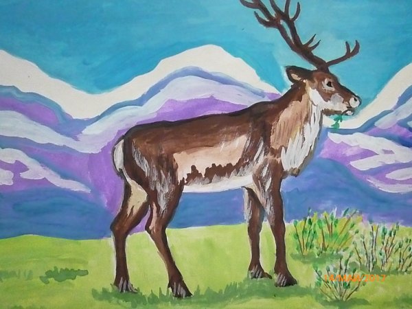 Рисуем Северного оленя