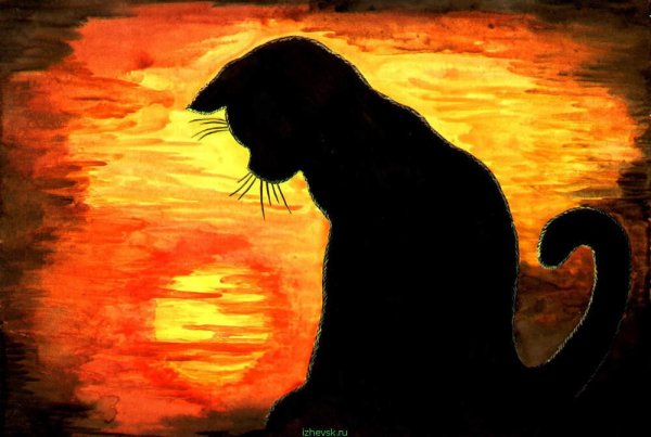 Черные коты на фоне заката