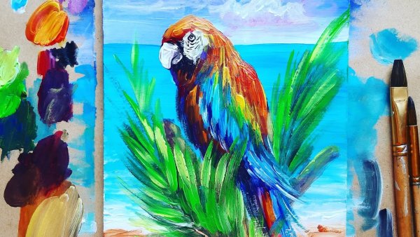 Попугай корелла маслом