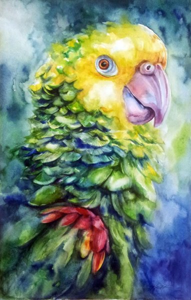 Попугай пастелью