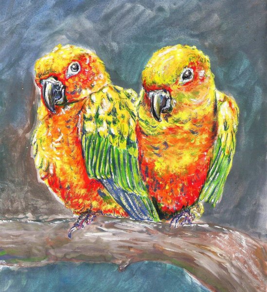 Попугай корелла пастелью