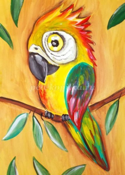 Попугай ара гуашью