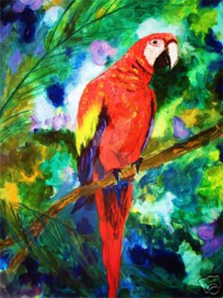 Рисование попугая гуашью