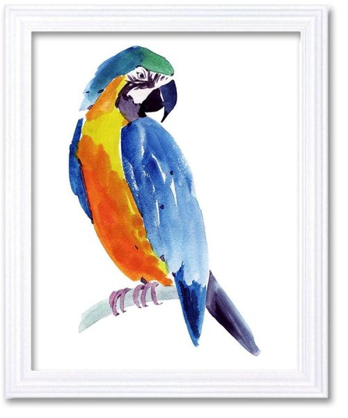 Попугайчики акварелью