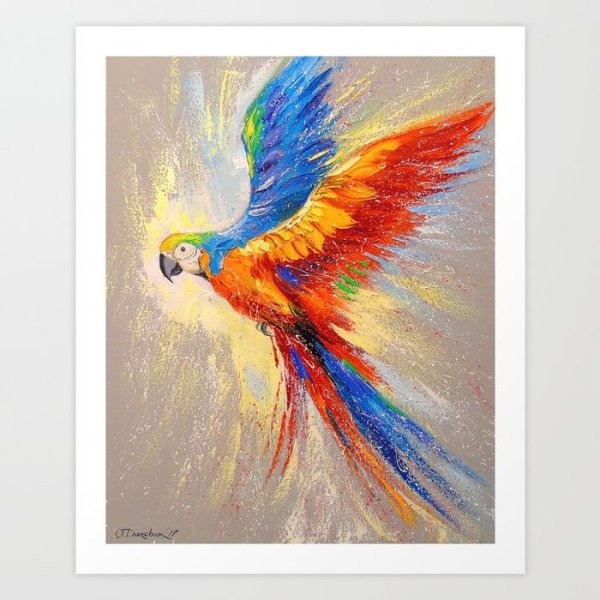 Волнистый попугай акварелью