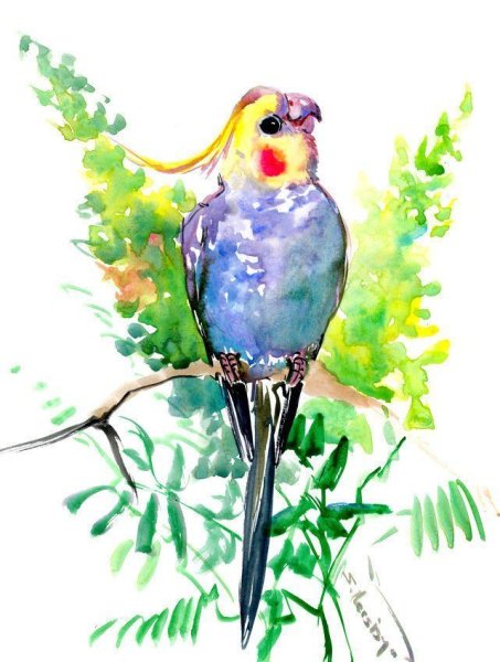 Попугай акварелью
