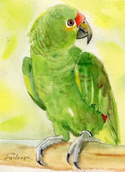 Попугай красками