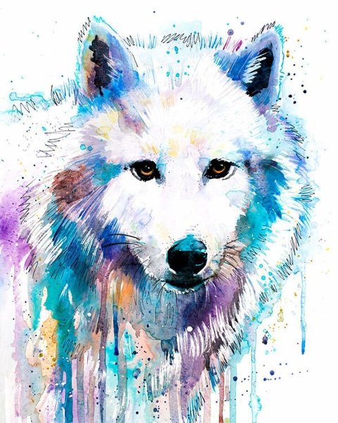 Акварельный волк