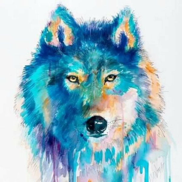Волк красками