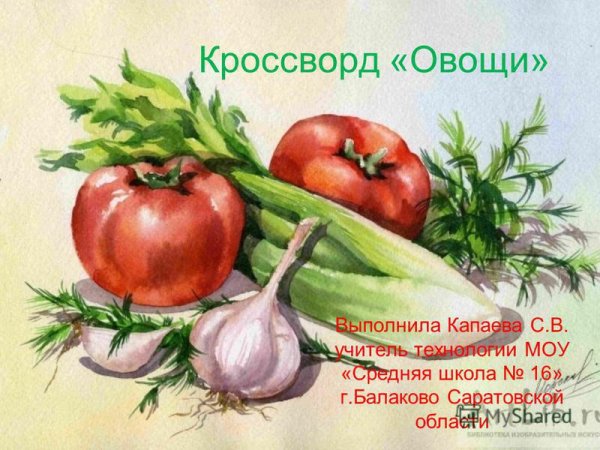 Фрукты и овощи акварелью