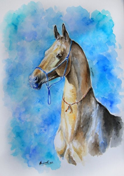Ахалтекинская лошадь акварелью