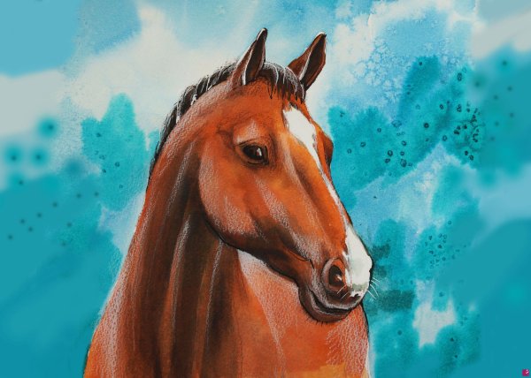 Лошадь рисунок