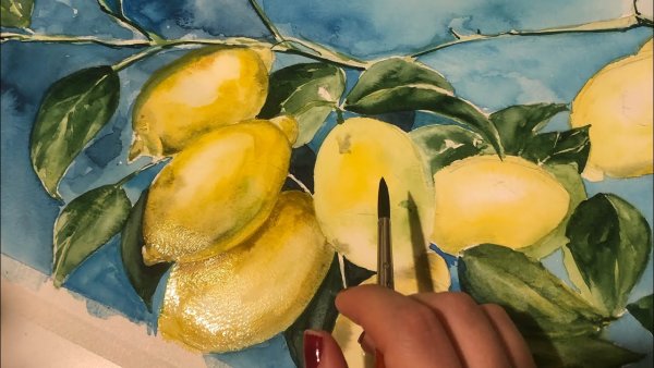 Сицилийский лимон акварель