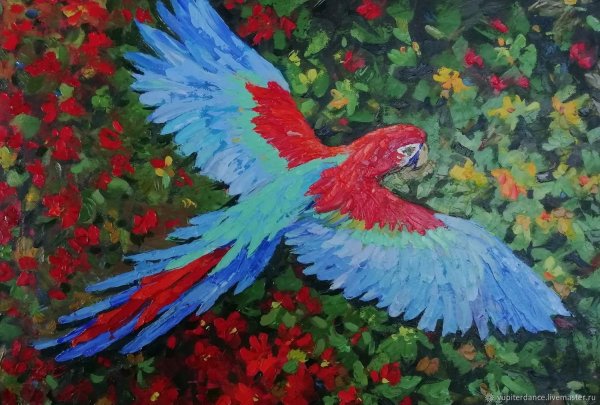 Попугай гуашью