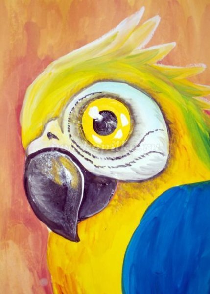 Попугай ара акварелью