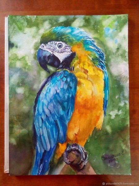 Попугай гуашью для детей