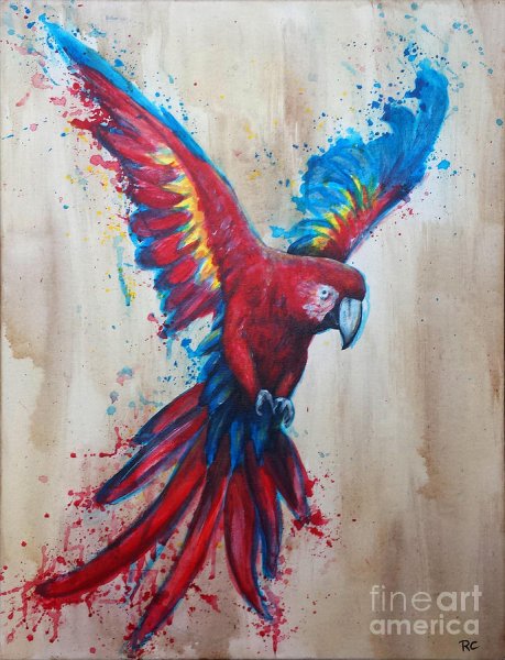 Акварельная живопись попугаи ара жако