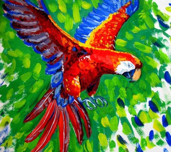 Попугай ара акварелью