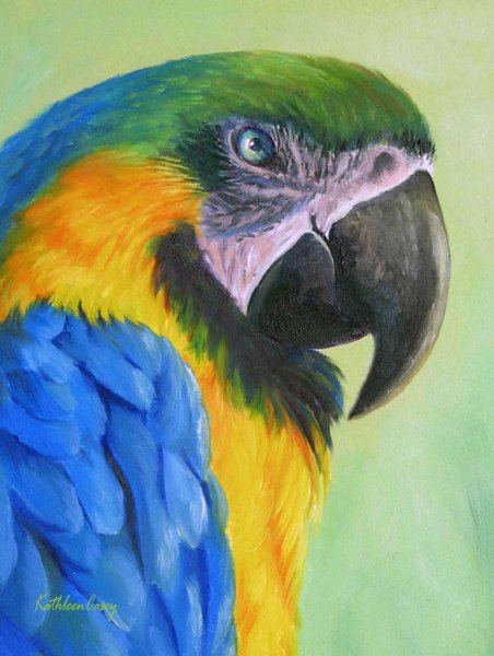 Экзотические животные арты