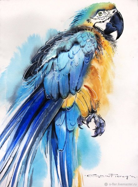 Попугаи на ветке живопись