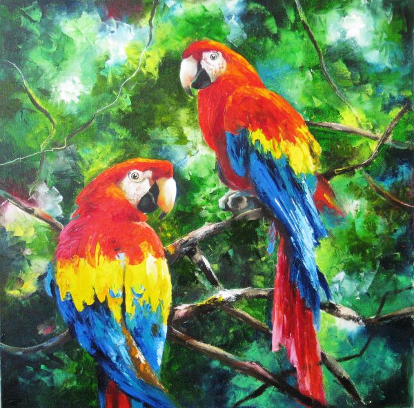 Попугай гуашью