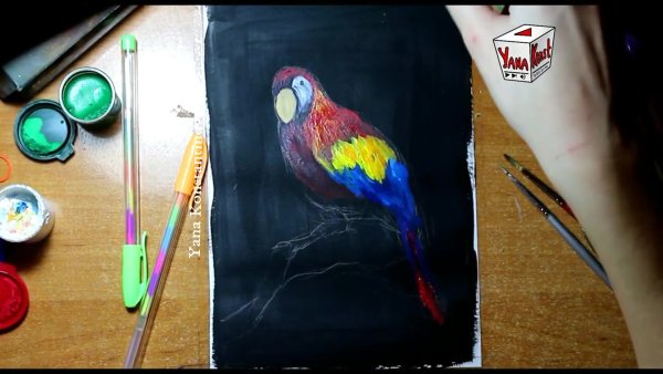 Попугай ара акварелью легко