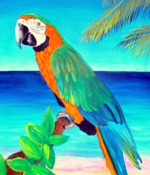 Попугай ара пастелью