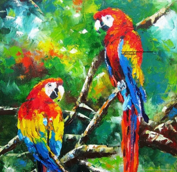 Попугай акварелью