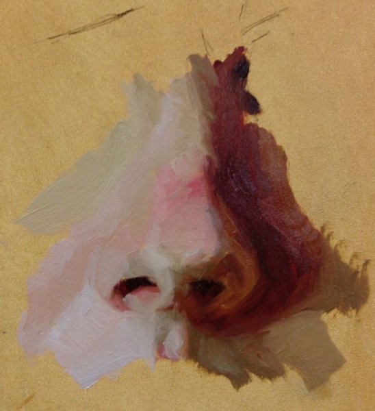 Масло для носа