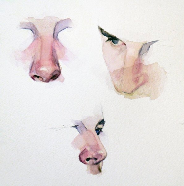 Нос акварелью пошагово