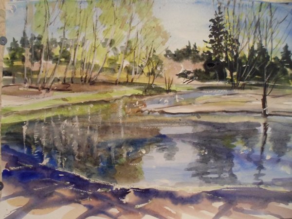 Головинские пруды пруды акварель