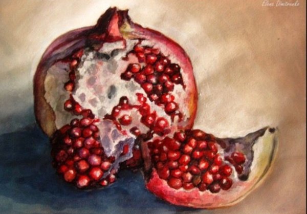 Гранат акварель Андрияка