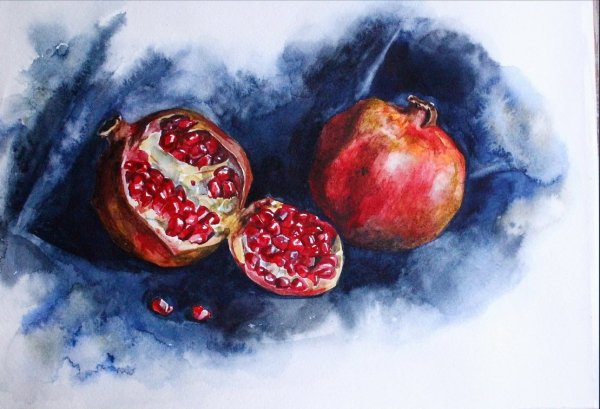 Гранат Этюд акварель Андрияка