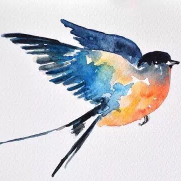 Ласточка цветными карандашами