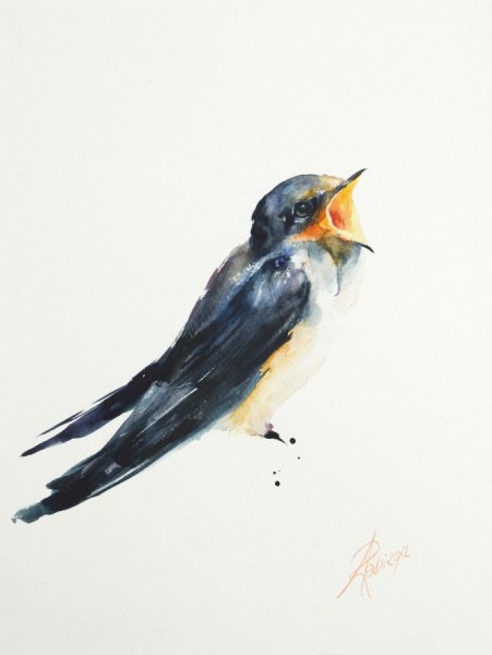 Птица Ласточка акварель